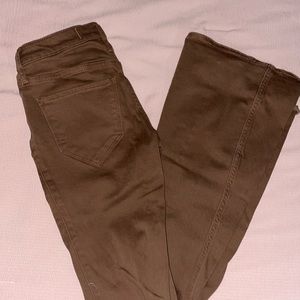 Hollister Brown Bootcut Jeans